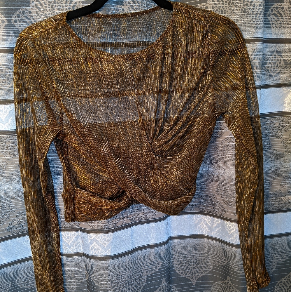Silver and gold sheer long sleeved top